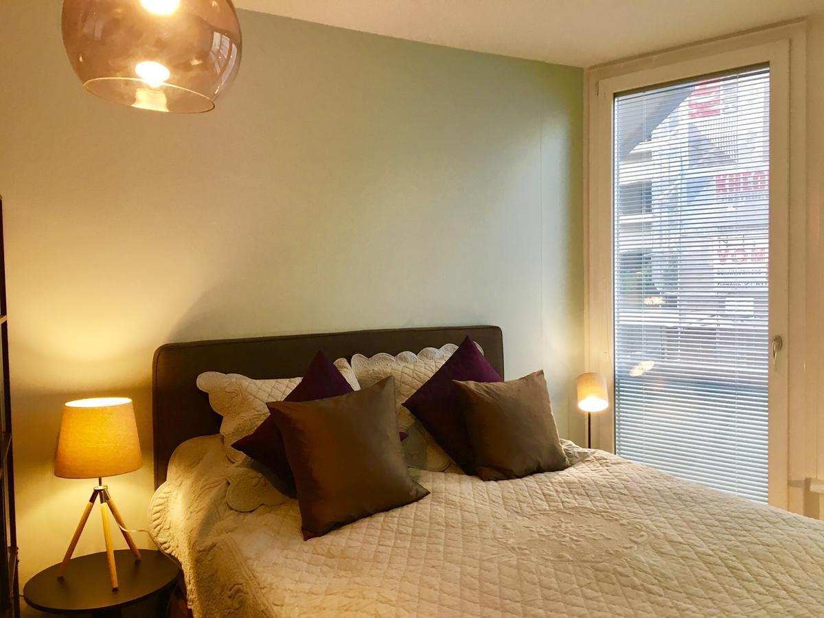Rue Jean-Antoine Gautier Apartment Geneva Bagian luar foto